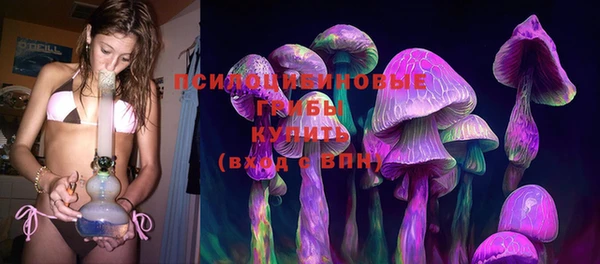 дмт Алексин